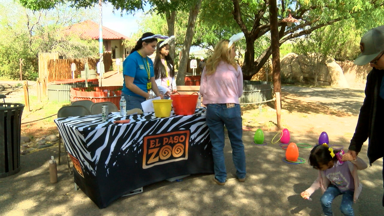 Eggstravaganzoo brings Easter fun to the El Paso Zoo