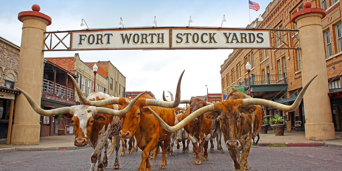 Why Cowtown Belongs on Your 2026 Travel List