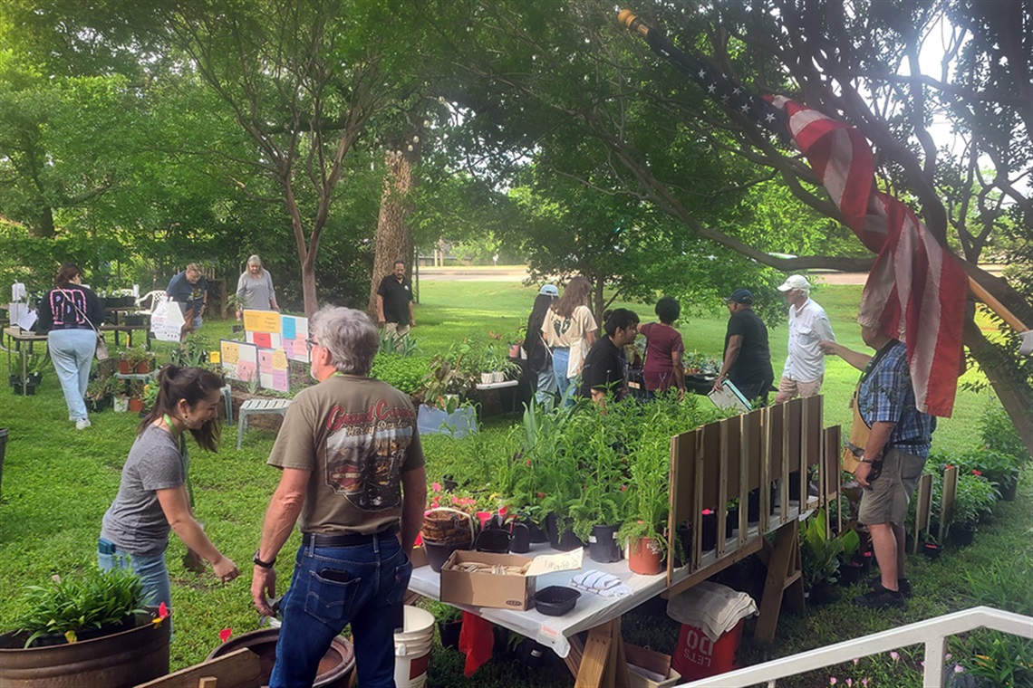 People walking around looking at plants in a yard.