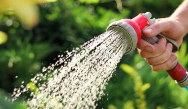 2026 Plano watering schedule released: When you can water based on your address