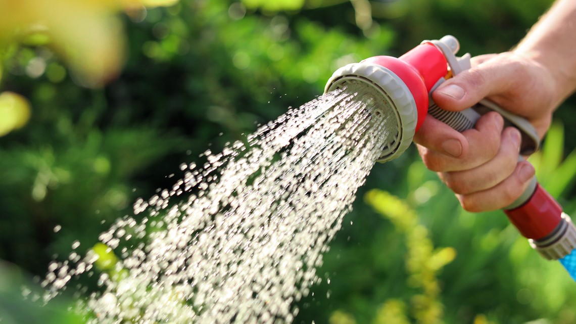 2026 Plano watering schedule released: When you can water based on your address