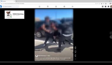 Alumni react to viral video of students fighting at Fort Worth high school