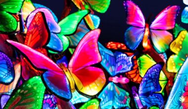 Dallas Zoo to host Illuminature event, showcasing bright lights this summer