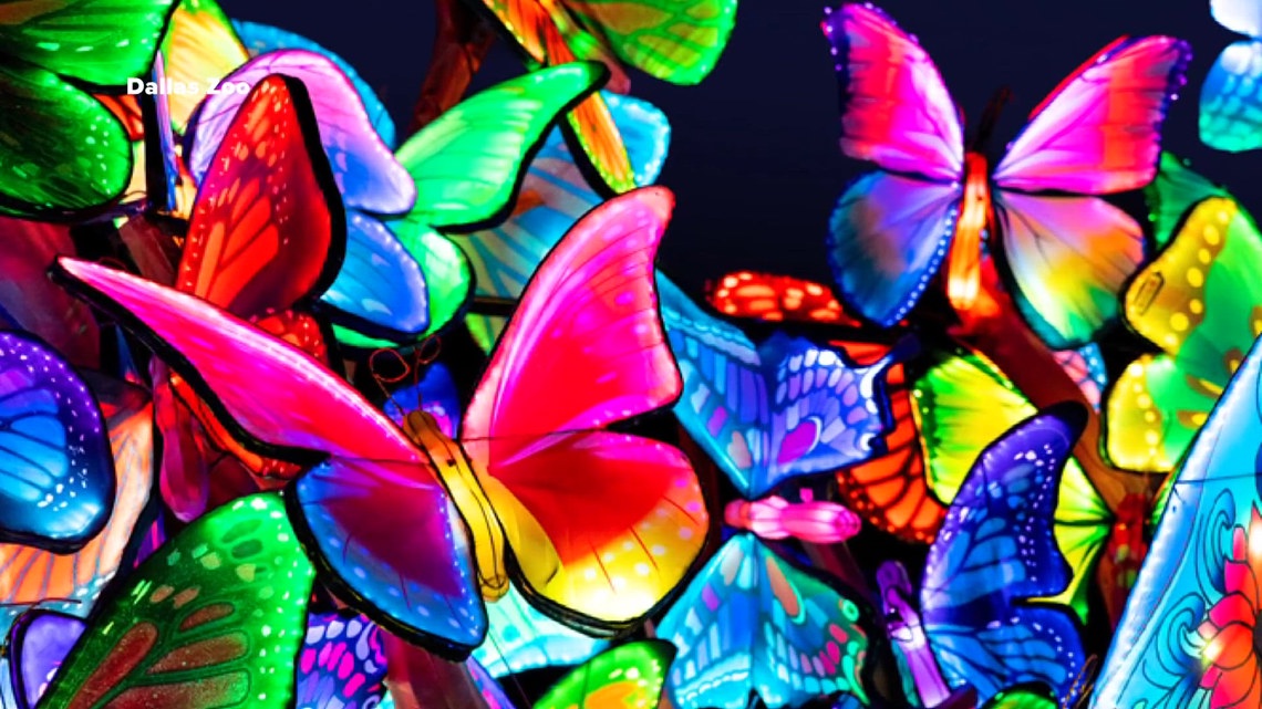 Dallas Zoo to host Illuminature event, showcasing bright lights this summer