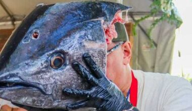Best of the Fort Worth Food + Wine Festival 2026 in photos