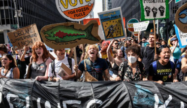 activists hold signs at a protest