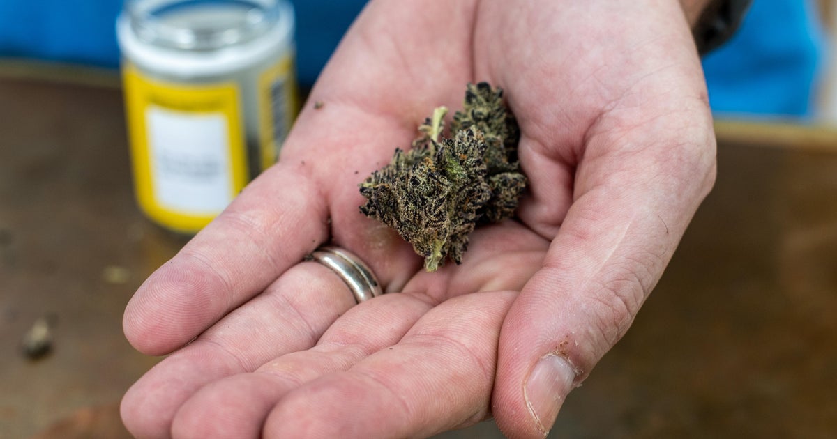 Texas hemp shops celebrate reprieve after court halts smokable THC ban