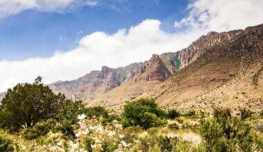 Texas' 2 national parks rank among best in the U.S. in 2026