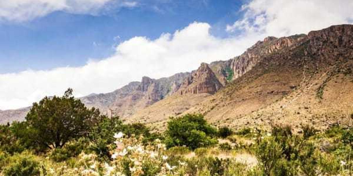 Texas' 2 national parks rank among best in the U.S. in 2026