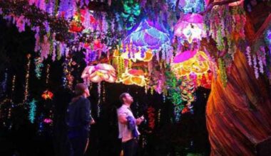 Dallas Zoo presents Illuminature - CultureMap Dallas