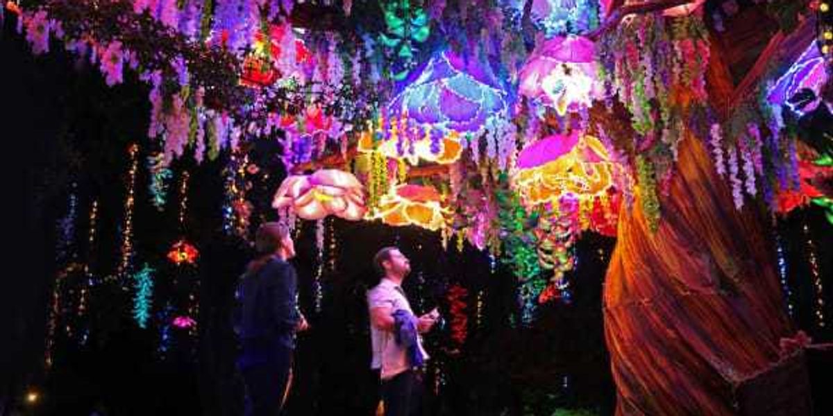 Dallas Zoo presents Illuminature - CultureMap Dallas