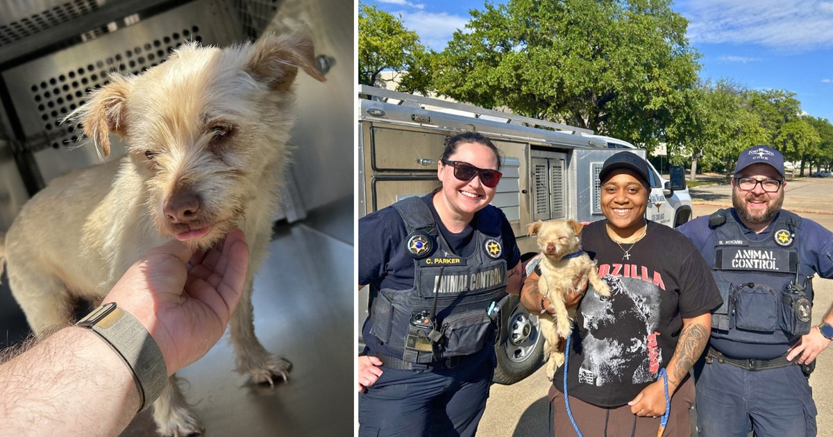 Dog reunited with Irving owner after four years missing