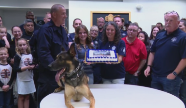 Dallas police honor most decorated K‑9 at rare retirement ceremony
