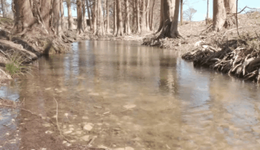 Hurricane Harvey lessons guide Kerr County flood recovery – NBC 5 Dallas-Fort Worth