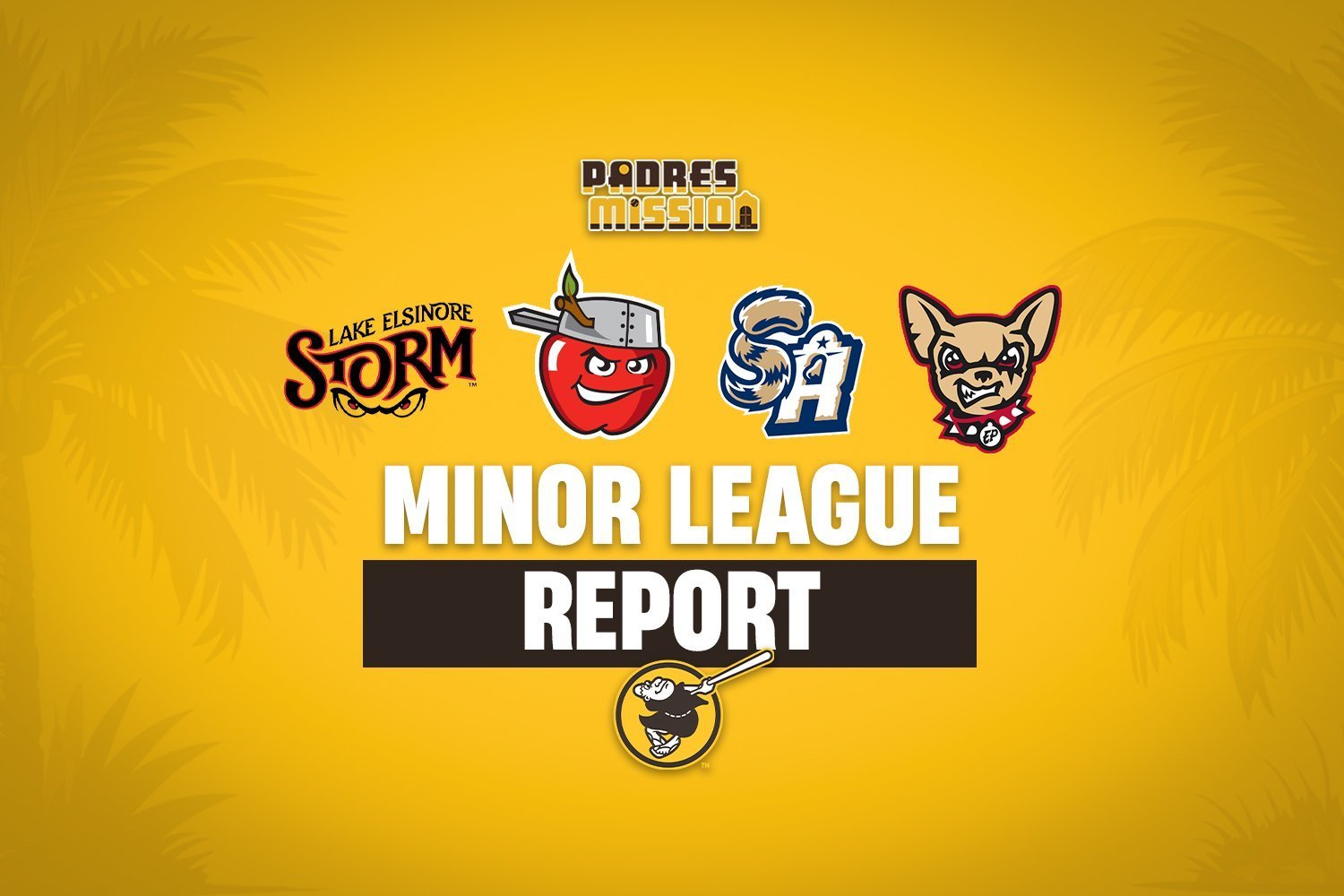 Padres Minor League Report: Affiliates go 0-for-3 With Some Rain - Minor Leagues