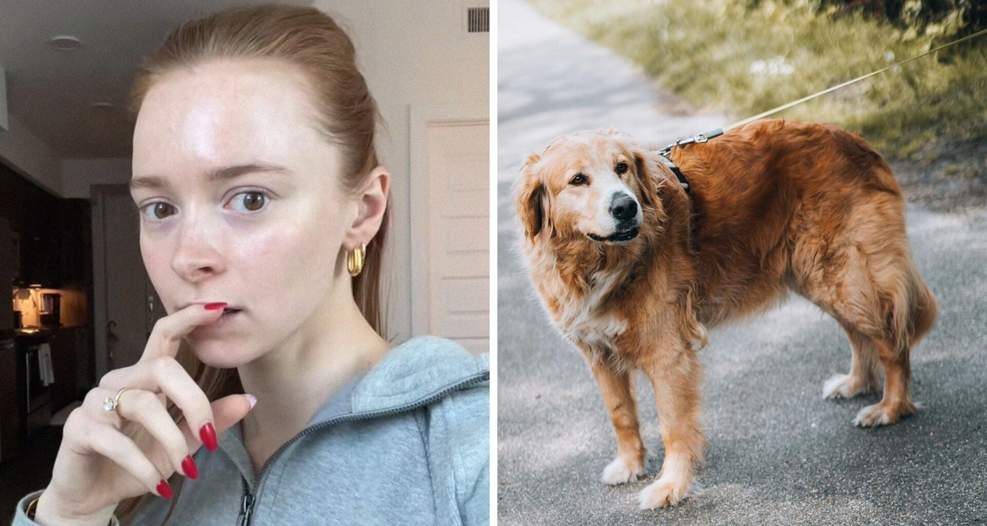 What Should You Do If Your Dog Ingests Weed?