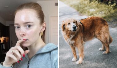 What Should You Do If Your Dog Ingests Weed?