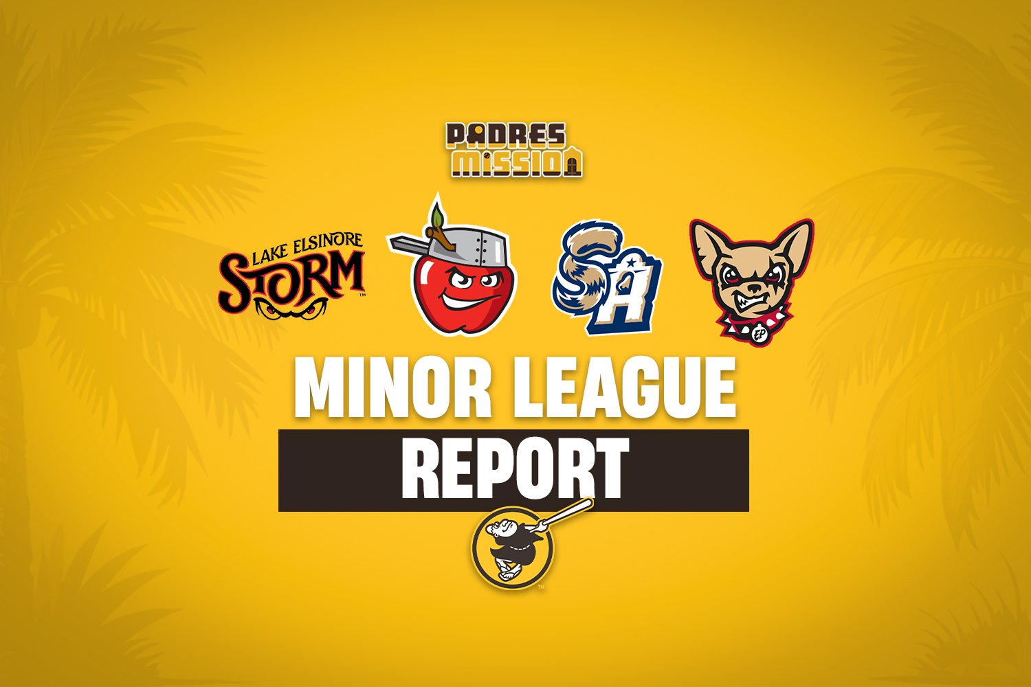 Padres Minor League Report: Missions Walk Off In Extras - Minor Leagues