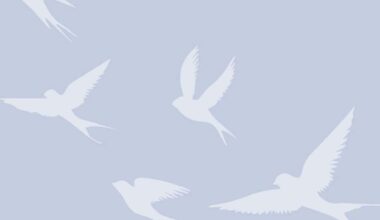 Patricia Susan McKay - Nov 8, 1952 - Mar 23, 2026