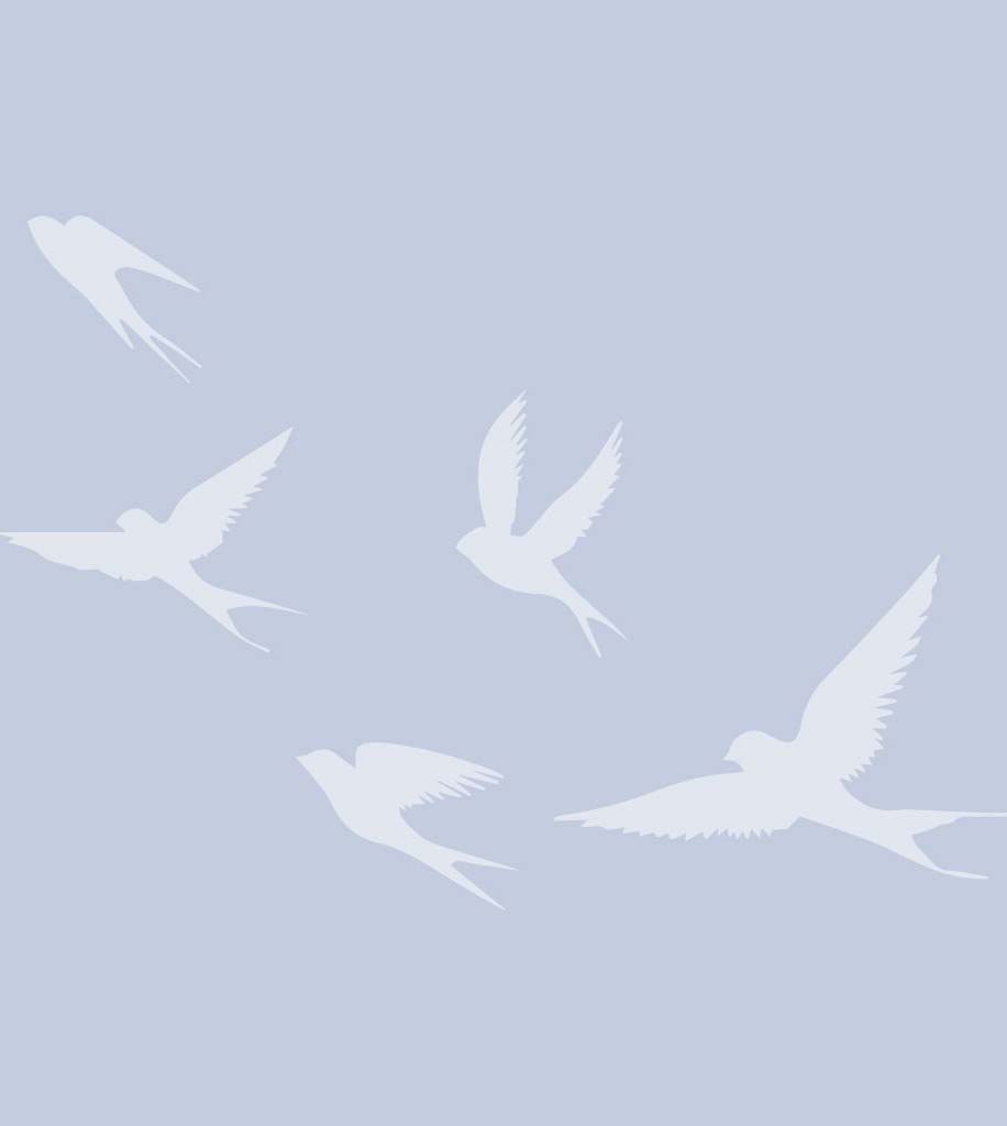 Patricia Susan McKay - Nov 8, 1952 - Mar 23, 2026