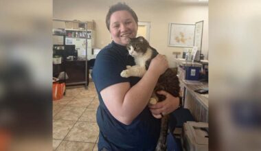 Central Texas cat owner reunites with pet after 5 years