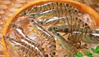 Pan-Asia Supermarket to make Texas debut in San Antonio