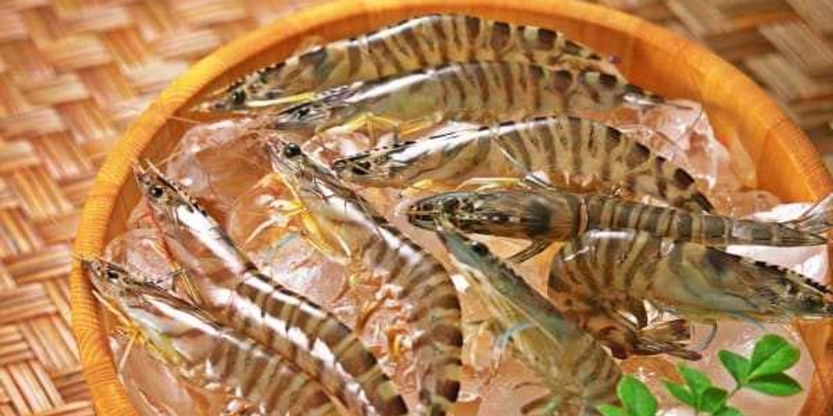 Pan-Asia Supermarket to make Texas debut in San Antonio