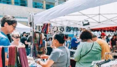 Pecan Street Festival returns to Bee Cave for Spring 2026