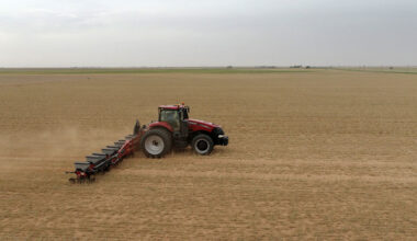 Most U.S. rented farmland is owned by non-farmers Nearly 80% of rented farmland is owned by non-farmers, according to the latest USDA survey data.
