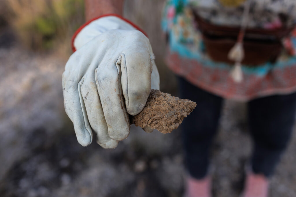 A hand in a gardening glove holds out a rock-like object that is hard dirt.