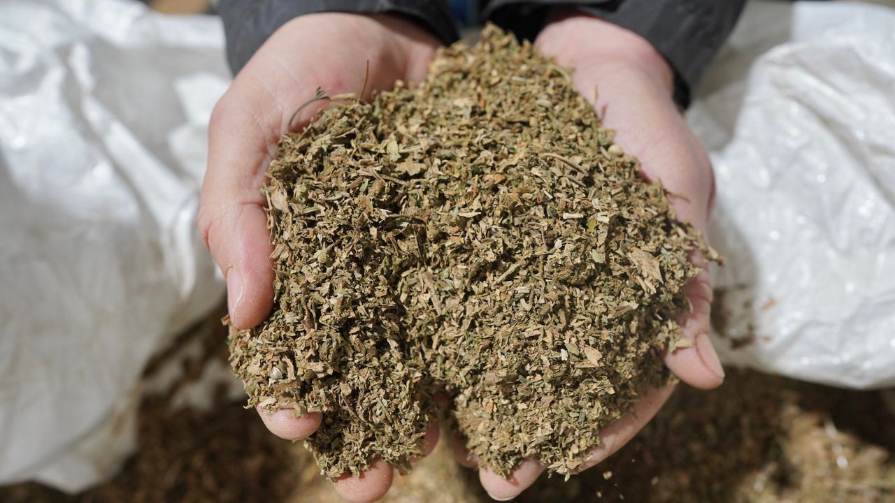 Hearing on smokeable hemp ban in Texas delayed