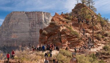 Texas man identified as hiker who fell at Angels Landing
