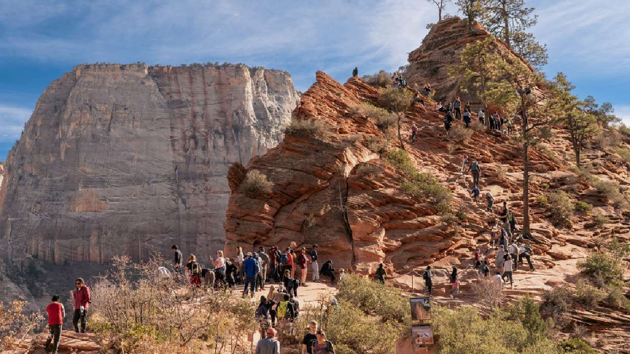 Texas man identified as hiker who fell at Angels Landing
