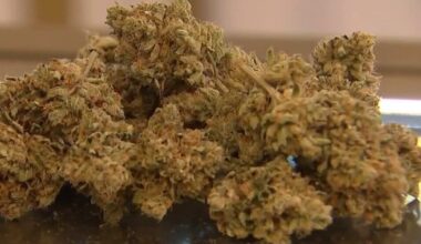 'Last Prisoner Project' pushing Texas to revisit cannabis convictions amid changing laws