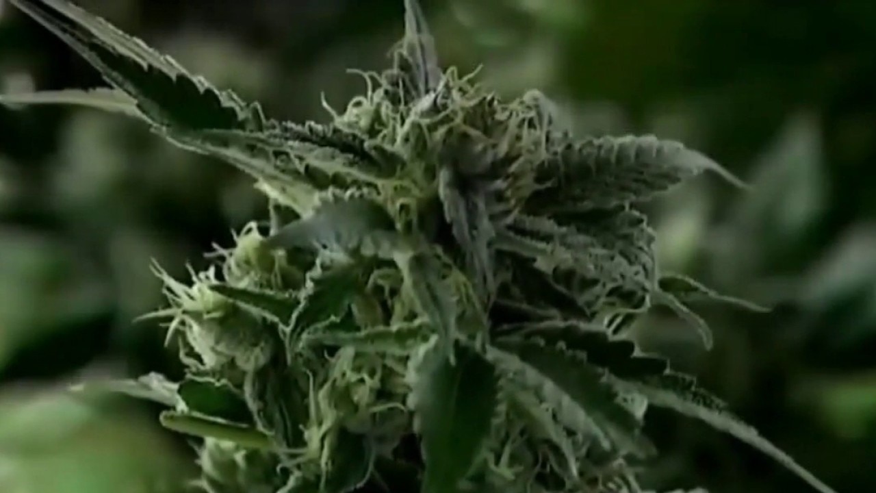 PREVIOUS COVERAGE: New Texas hemp rule to take effect March 31