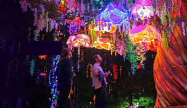 Illuminature Arrives: New Lantern Festival Coming To Dallas Zoo - Local Profile