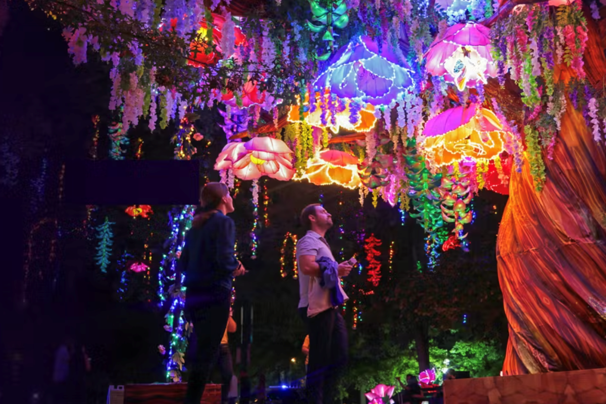 Illuminature Arrives: New Lantern Festival Coming To Dallas Zoo - Local Profile