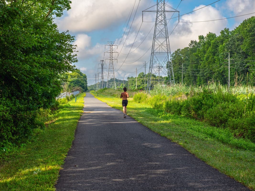 Dallas District 4 Residents Can Celebrate Earth Day with Tree Giveaway