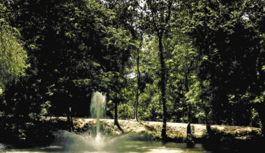 Lake Highlands North Park to Be Renamed Walne Park in Honor of Civic Leaders