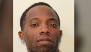 Dallas police search for suspect in domestic shooting