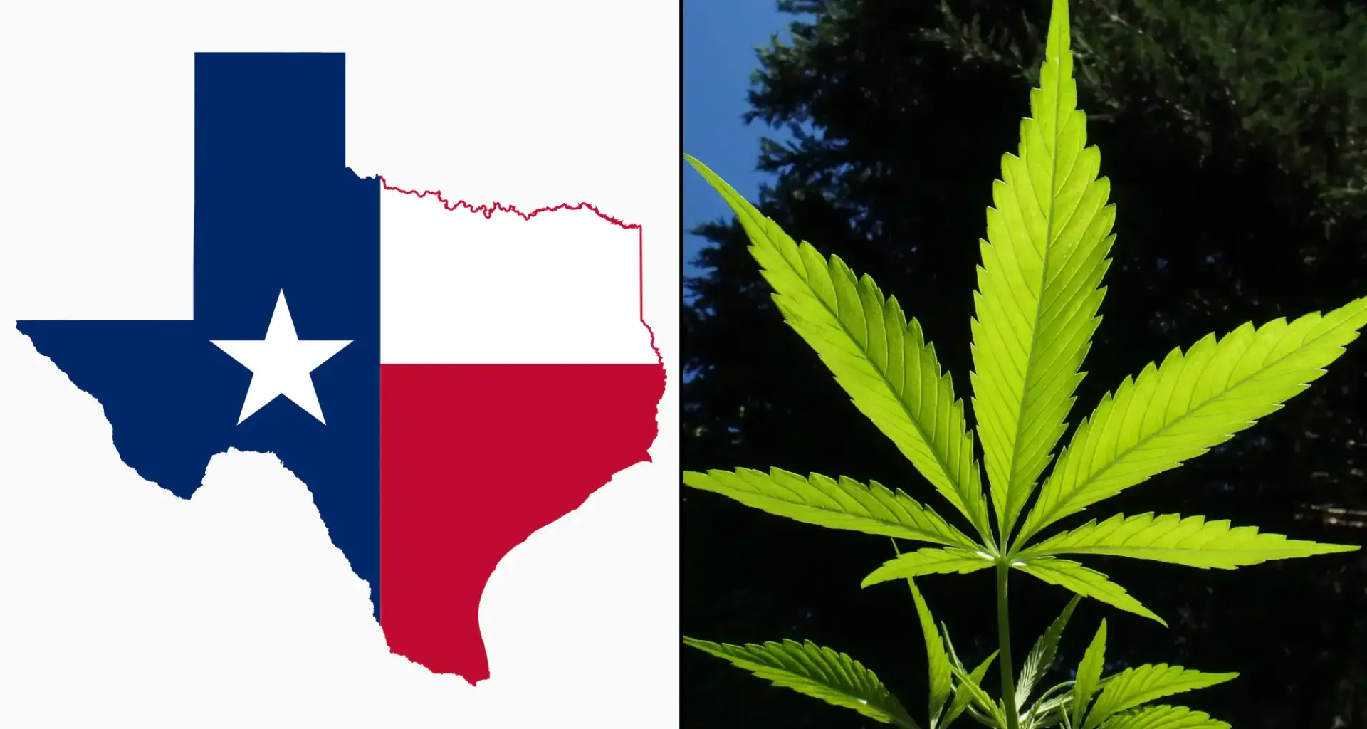Texas Judge Pauses New Rules Banning Hemp Products Like Smokable THCA Flower Amid Legal Challenge From Industry