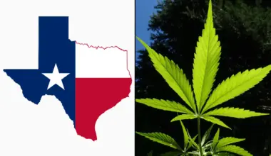 Texas Judge Pauses New Rules Banning Hemp Products Like Smokable THCA Flower Amid Legal Challenge From Industry