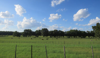 Texas Farm Bureau outlines concerns on data centers The rapid expansion of data centers across Texas is drawing increased attention from lawmakers and Texans as questions grow about the impact on rural communities and state resources.