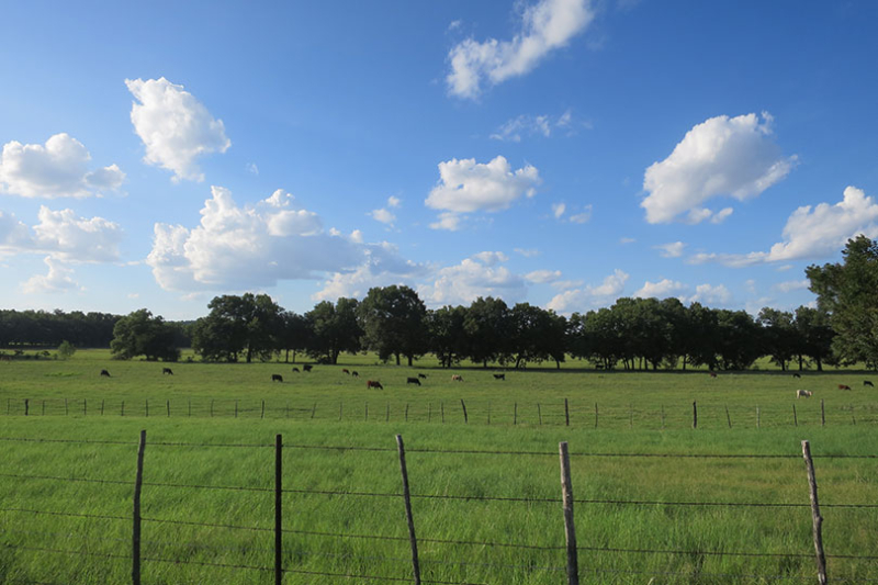 Texas Farm Bureau outlines concerns on data centers The rapid expansion of data centers across Texas is drawing increased attention from lawmakers and Texans as questions grow about the impact on rural communities and state resources.