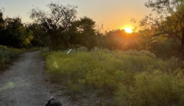 Pockets of Peace in Dallas, Texas - Victoria Holmes