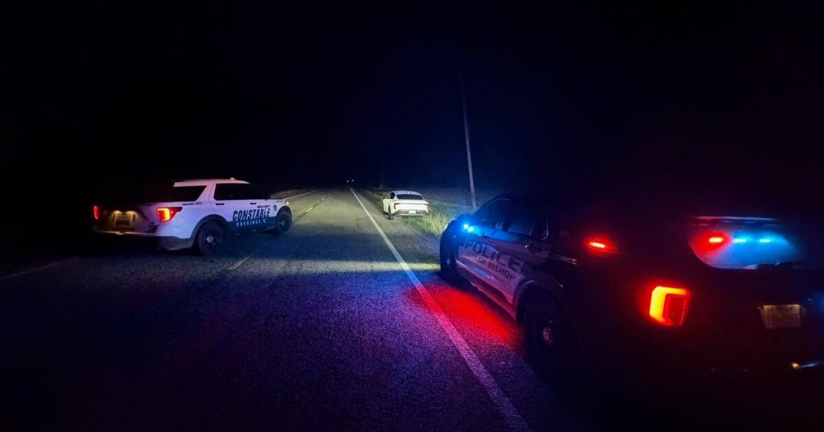 Sleeping driver hits a police car and leads officers on a chase