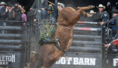 Bull rider qualifiers announced for 2026 PBR Velocity Tour Finals