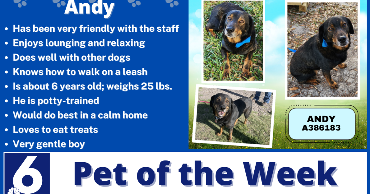 Pet of the Week: Andy