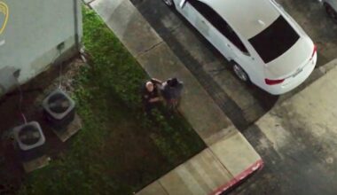 Bond set at $1.5m for serial burglar as details emerge of recent break-ins
