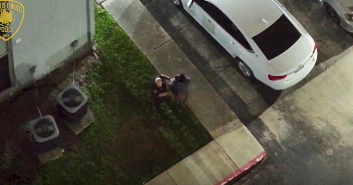 Bond set at $1.5m for serial burglar as details emerge of recent break-ins